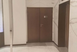 钢质蜜桃精品视频